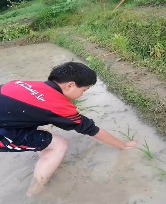 “勞動最光榮，奮斗最幸福”——橫溪初級中學(xué)勞動教育運(yùn)動報道