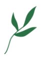 大樣一中師者強(qiáng)擔(dān)當(dāng)，戰(zhàn)“疫”顯芳華——大祥一中教師自愿者積極投身抗疫一線