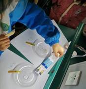 邵陽(yáng)縣金稱市鎮(zhèn)中間完全小學(xué)青少年科學(xué)調(diào)查體驗(yàn)運(yùn)動(dòng)獲全國(guó)“良好黌舍”獎(jiǎng)