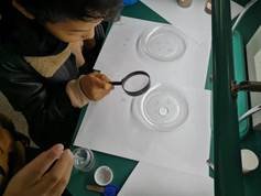 邵陽(yáng)縣金稱市鎮(zhèn)中間完全小學(xué)青少年科學(xué)調(diào)查體驗(yàn)運(yùn)動(dòng)獲全國(guó)“良好黌舍”獎(jiǎng)