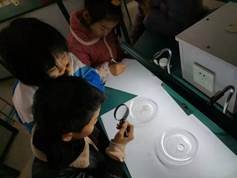 邵陽(yáng)縣金稱市鎮(zhèn)中間完全小學(xué)青少年科學(xué)調(diào)查體驗(yàn)運(yùn)動(dòng)獲全國(guó)“良好黌舍”獎(jiǎng)
