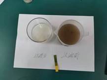 邵陽(yáng)縣金稱市鎮(zhèn)中間完全小學(xué)青少年科學(xué)調(diào)查體驗(yàn)運(yùn)動(dòng)獲全國(guó)“良好黌舍”獎(jiǎng)