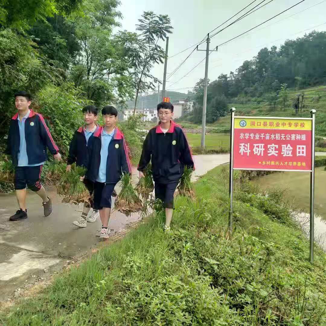墟落振興  富民強國—洞口職業(yè)中專黌舍增強農(nóng)業(yè)農(nóng)村生態(tài)科學發(fā)展