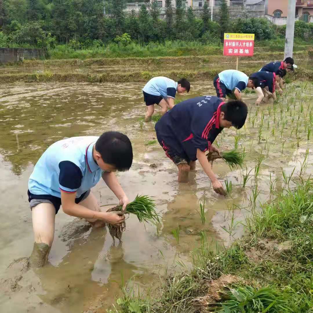 墟落振興  富民強國—洞口職業(yè)中專黌舍增強農(nóng)業(yè)農(nóng)村生態(tài)科學發(fā)展