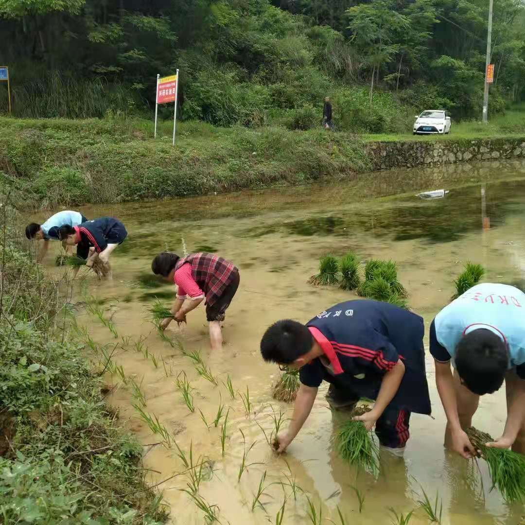 墟落振興  富民強國—洞口職業(yè)中專黌舍增強農(nóng)業(yè)農(nóng)村生態(tài)科學發(fā)展