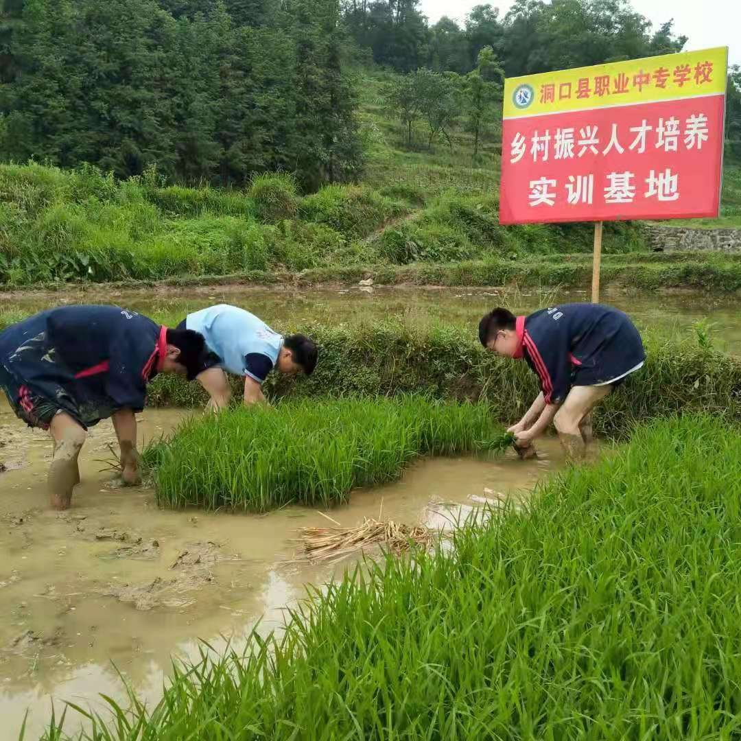 墟落振興  富民強國—洞口職業(yè)中專黌舍增強農(nóng)業(yè)農(nóng)村生態(tài)科學發(fā)展