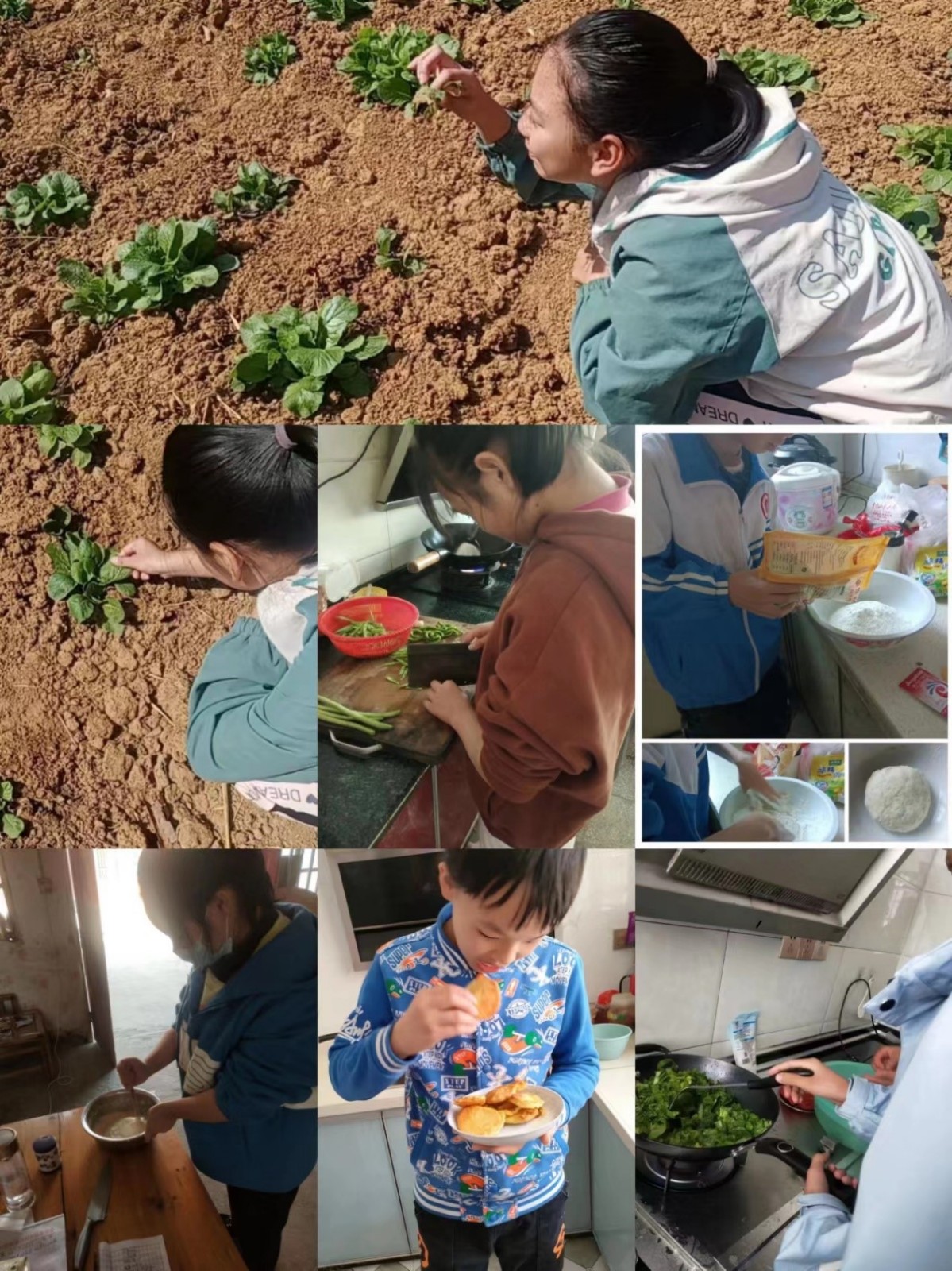 疫情教學線上牽    云端隔空不隔愛