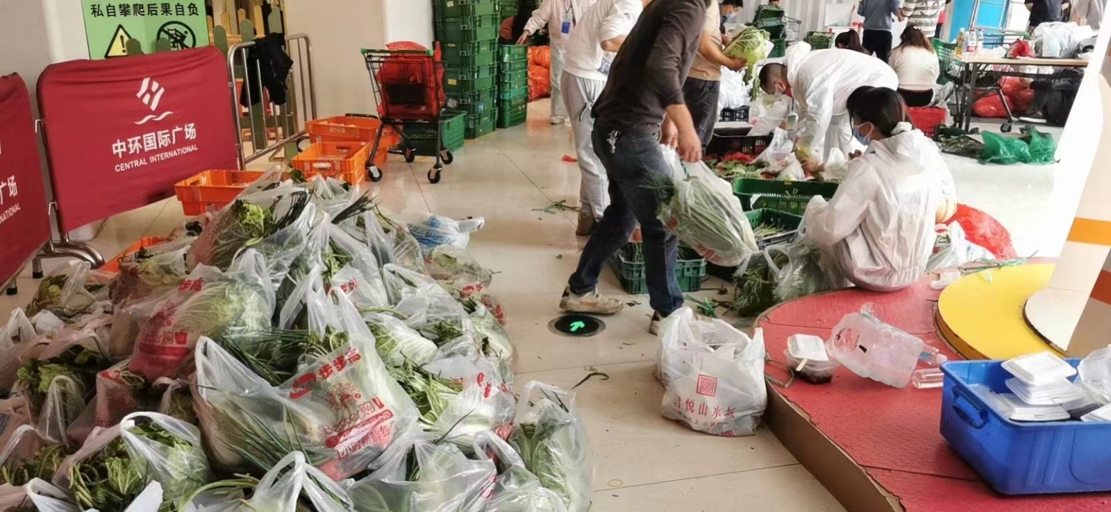 志愿逆行淬黨性，以身立教顯師志