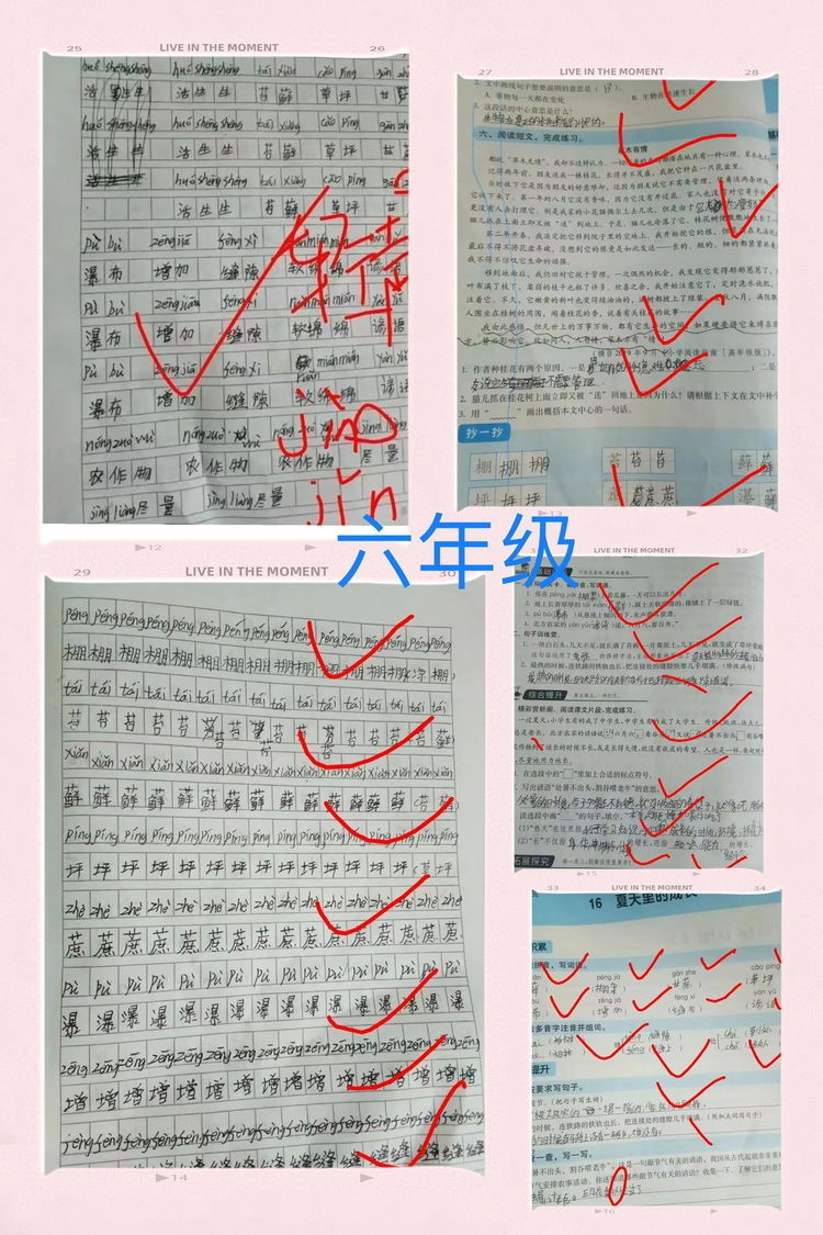 “疫”起努力，共育未來