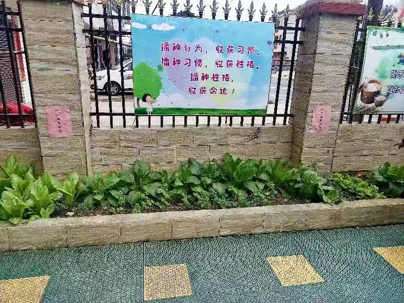 春意盎然 播種正當時
