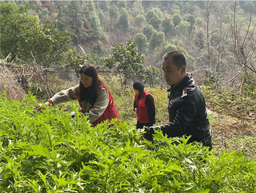 湖南辰溪：開展“鏟除毒品 造福人民”踏查宣傳