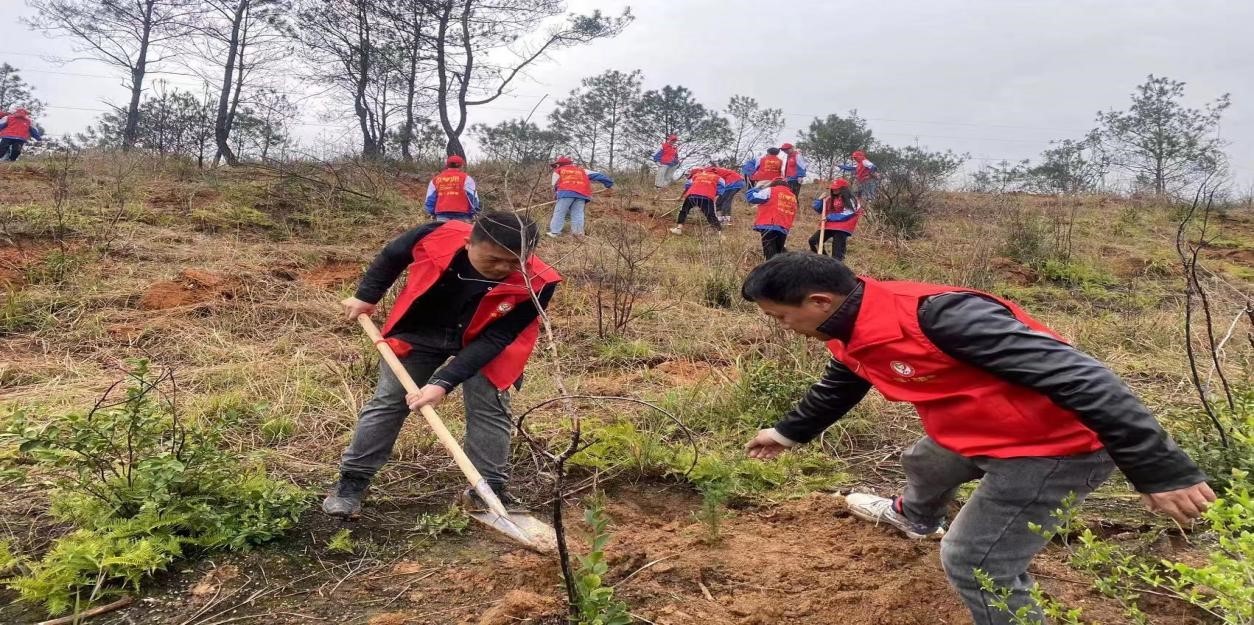 寧遠(yuǎn)二中第四黨支部  黨員義務(wù)植樹 為山林再添新綠