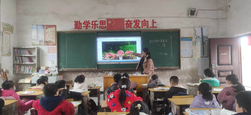 珍愛生命，拒食毒蘑菇