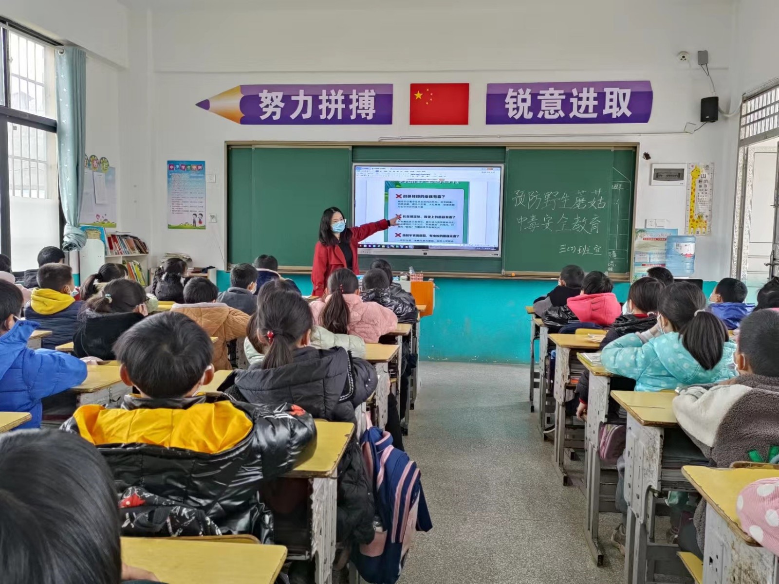 珍愛生命 遠離毒菇