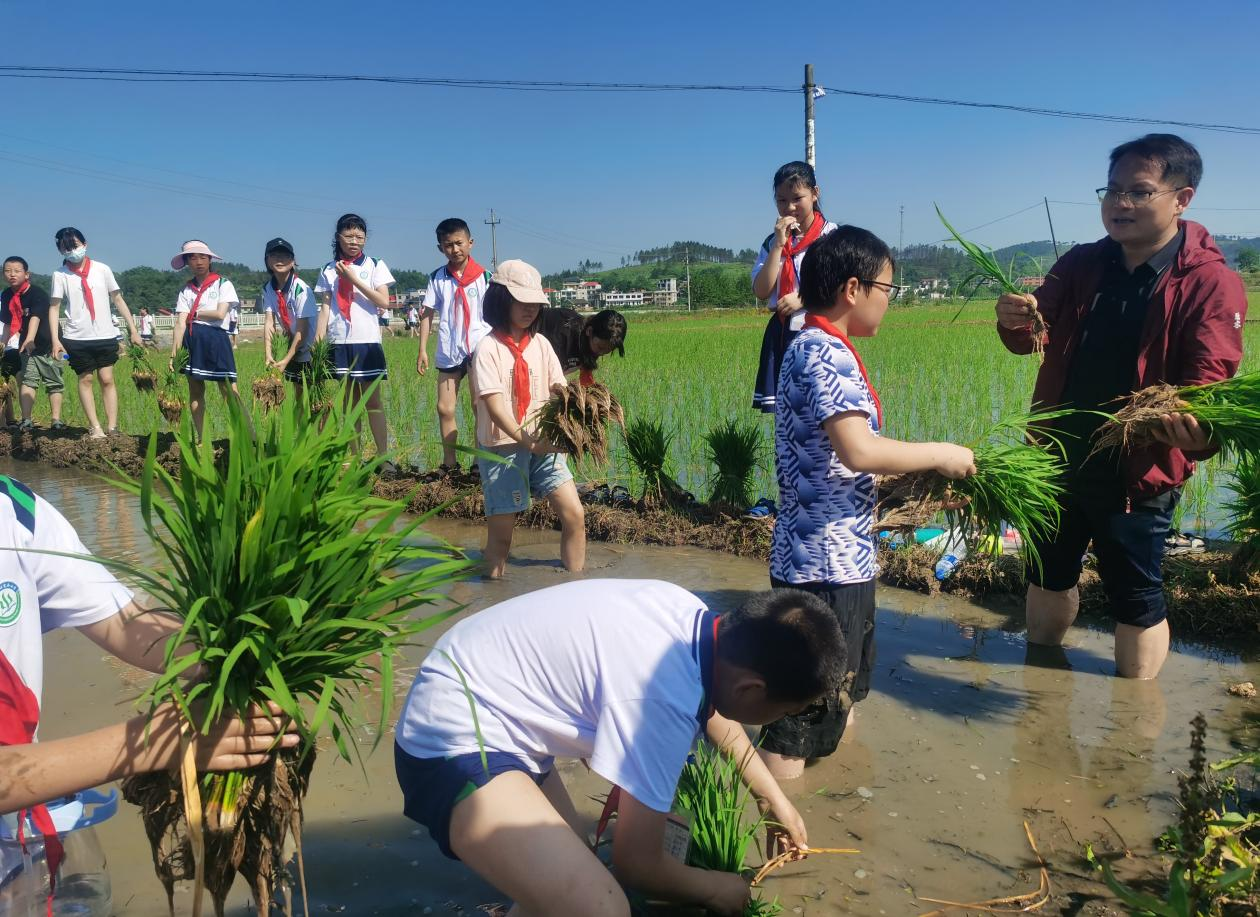 五峰鋪鎮(zhèn)中心完小開展勞動教育實踐活動