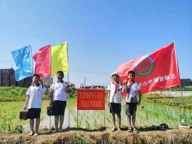 五峰鋪鎮(zhèn)中心完小開展勞動教育實踐活動