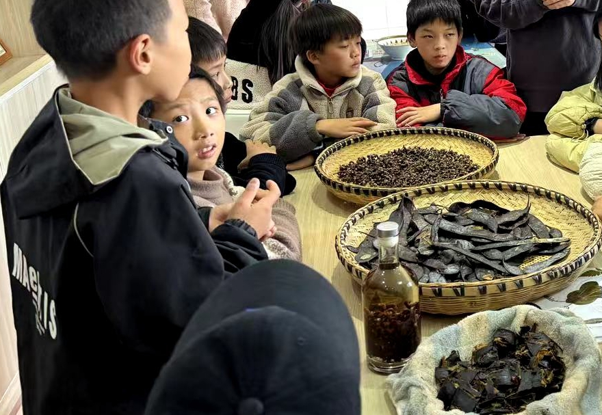 河伯中學(xué)：探索多彩大自然，科學(xué)之光閃耀校園