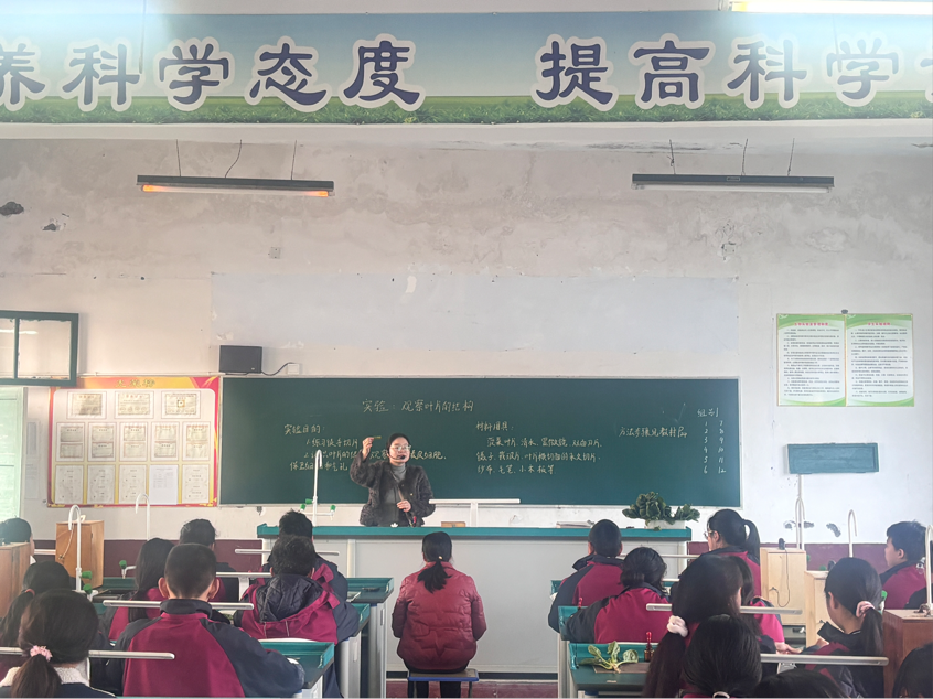 探索葉片奧秘，生物課堂展風(fēng)采