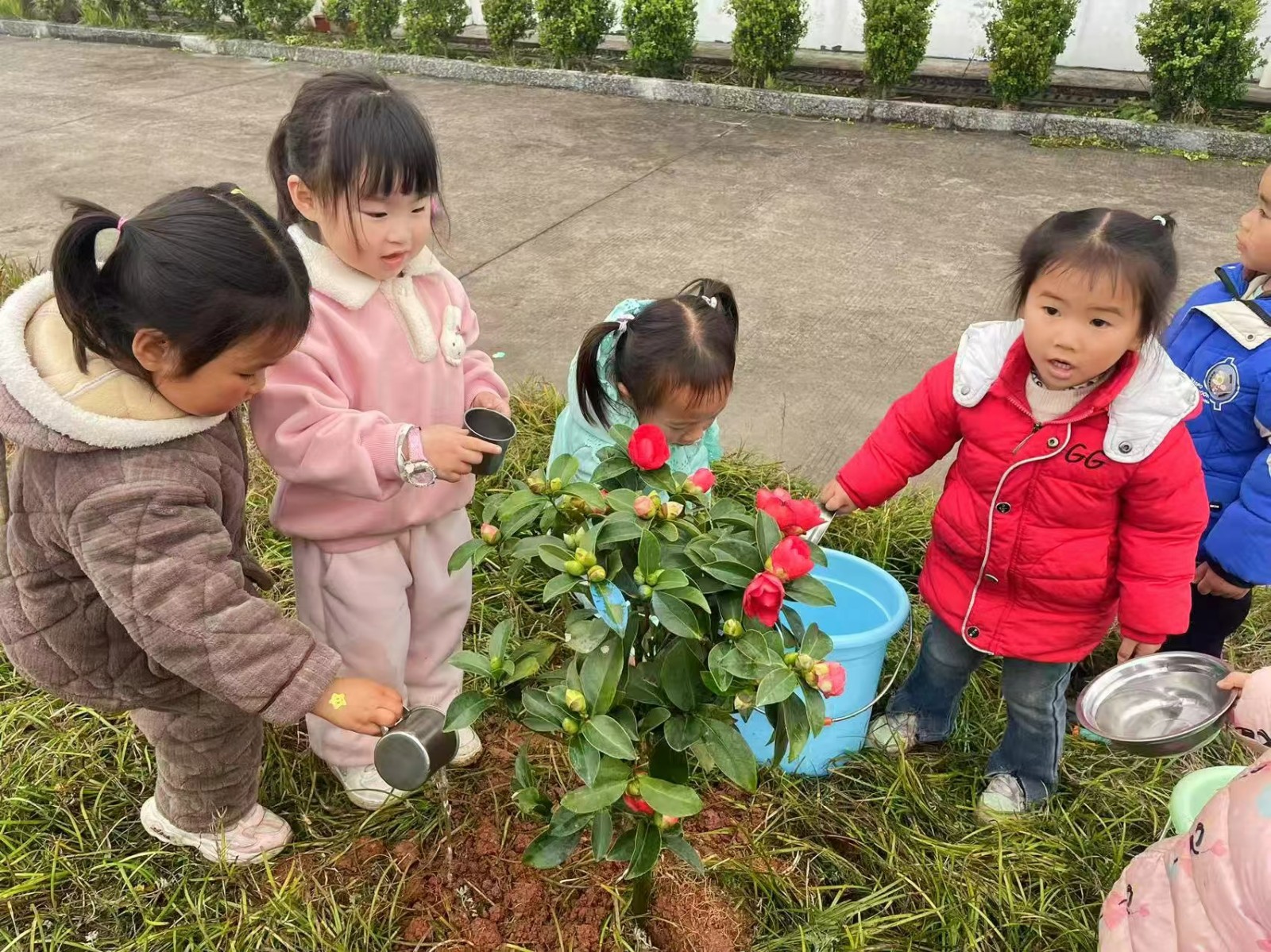 小手護(hù)綠意，童心愛自然