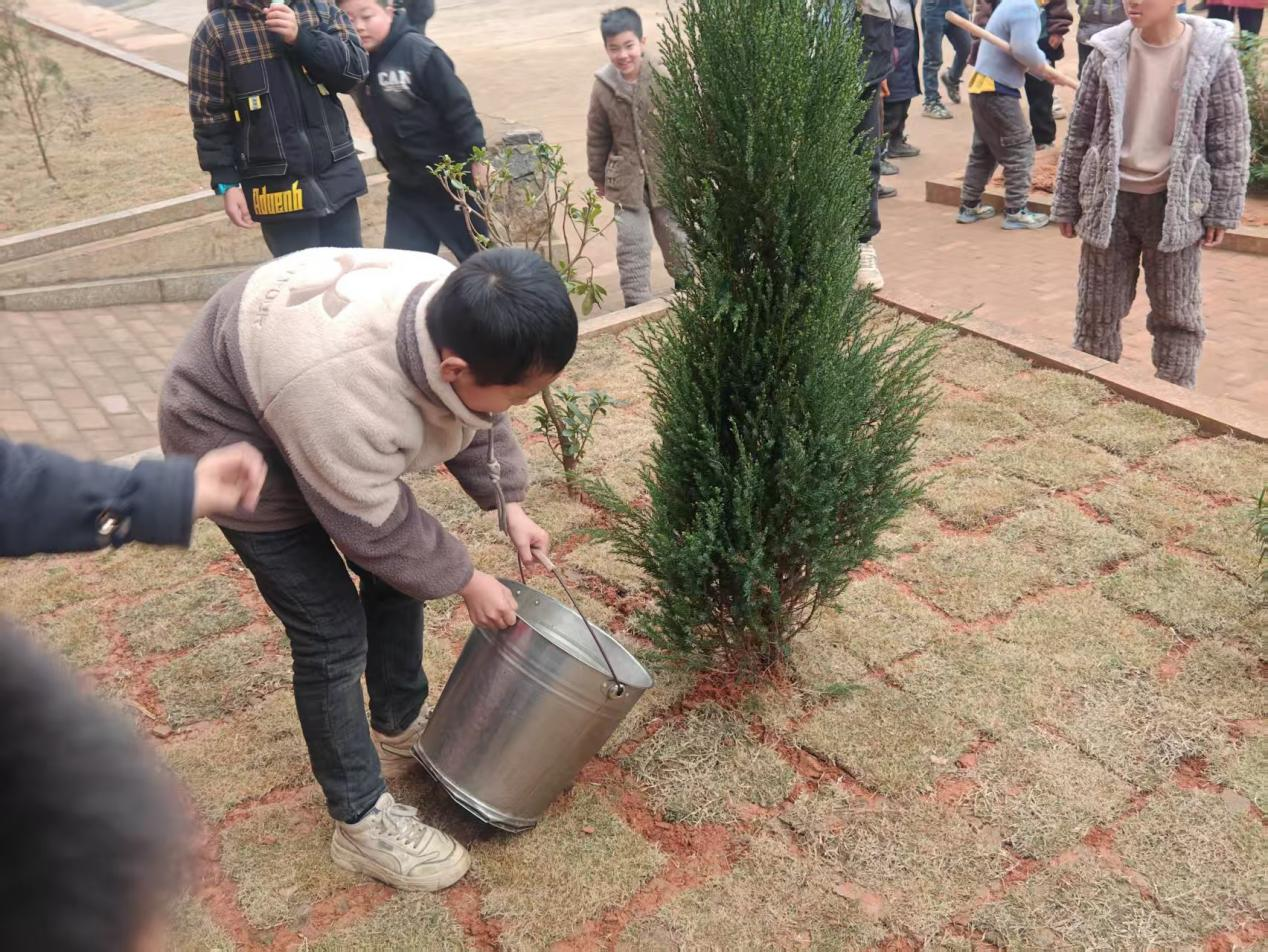 “共植共青林，同筑青春夢(mèng)”學(xué)雷鋒植樹(shù)實(shí)踐