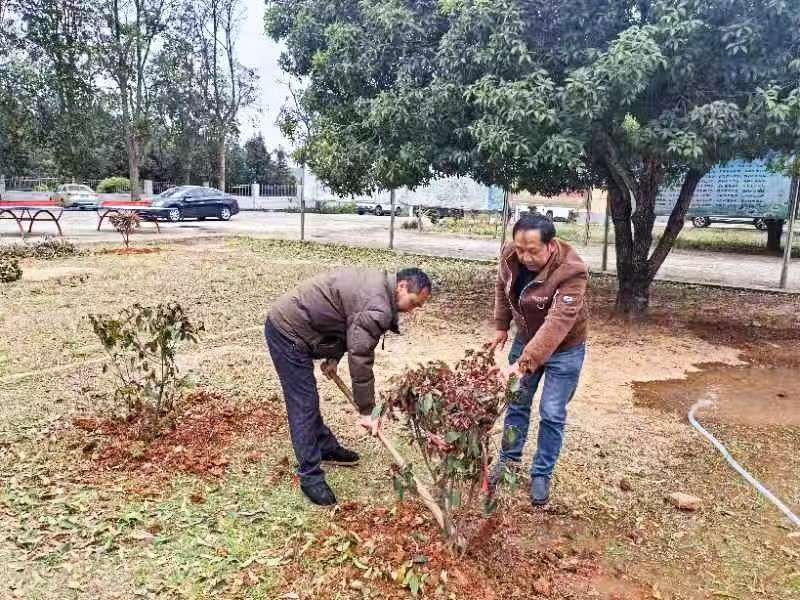 愛心植樹添新綠 校園綠化譜新篇