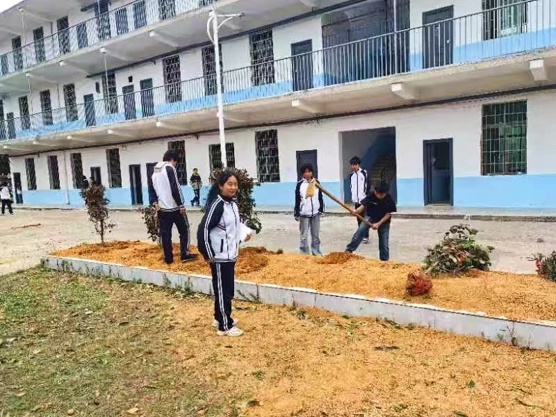 愛心植樹添新綠 校園綠化譜新篇