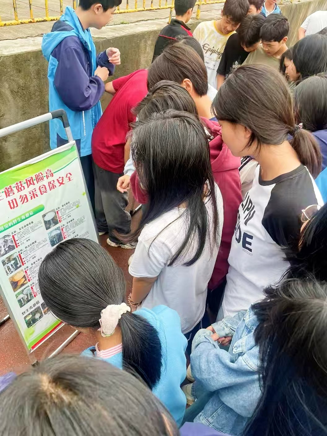 筑牢校園安全防線 守護學生健康成長