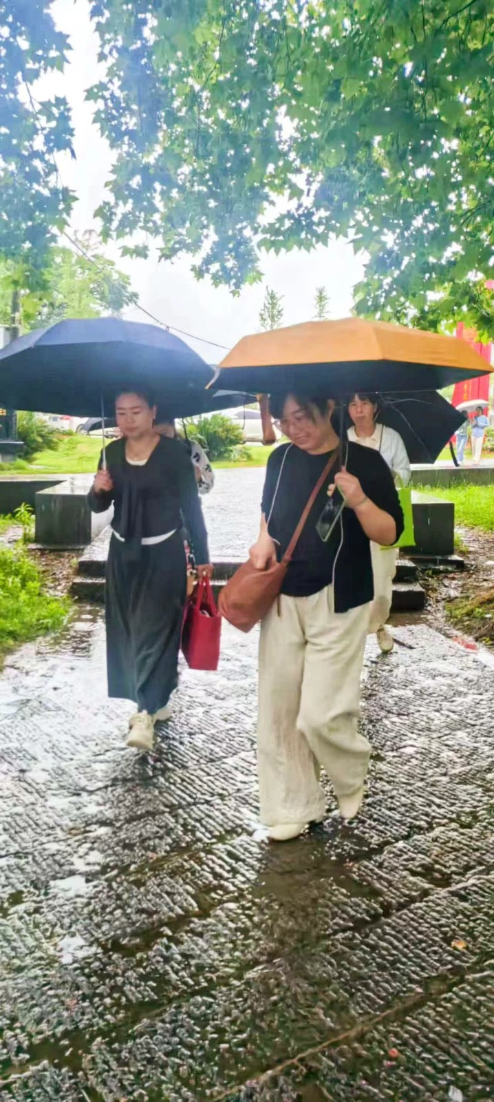 雨中的心靈之約：記一場風(fēng)雨無阻的心理健康培訓(xùn)