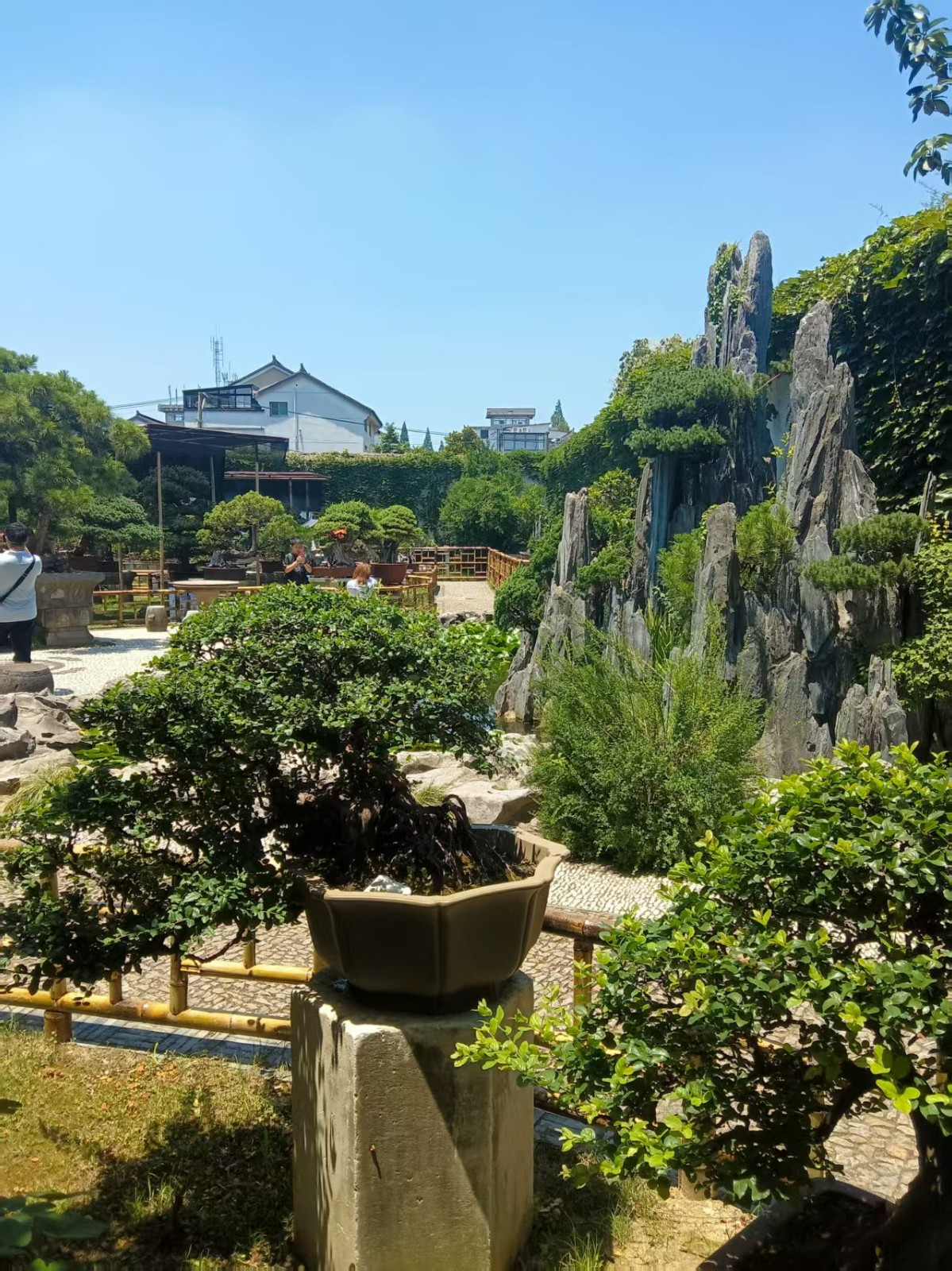 留園頌